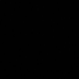 Meet your Posher, Jada